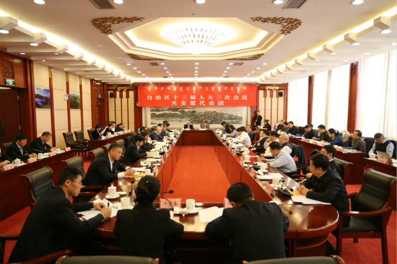 1月13日，各代表团审议政府工作报告，代表们认真履职，建言献策