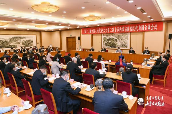 十三届全国人大三次会议内蒙古代表团召...