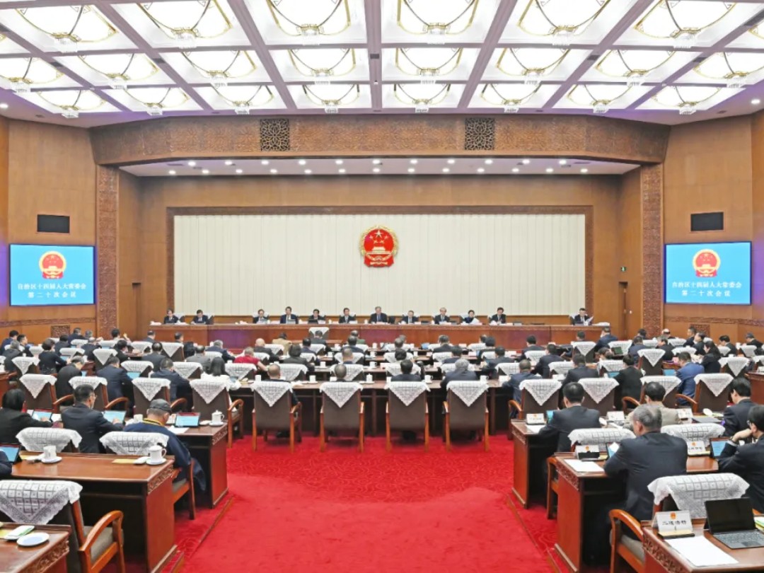 自治区十四届人大常委会第二十次会议开幕